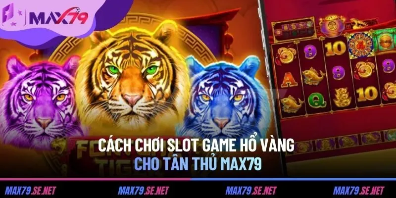 Cách chơi slot game Hổ Vàng cho tân thủ MAX79