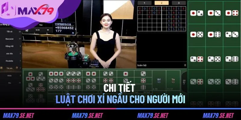 Chi tiết luật chơi xí ngầu cho người mới