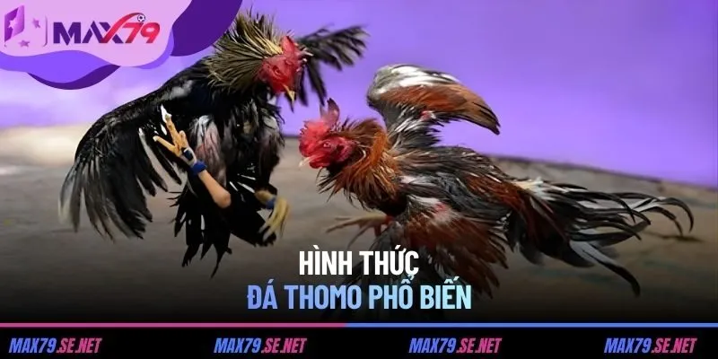 Hình thức đá Thomo phổ biến