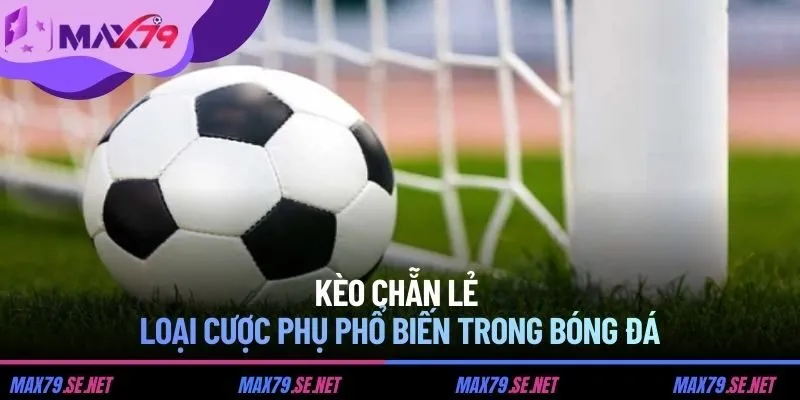 Kèo chẵn lẻ - loại cược phụ phổ biến trong bóng đá