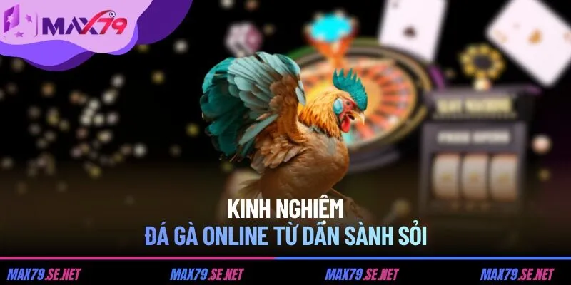 Kinh nghiệm đá gà online từ dân sành sỏi