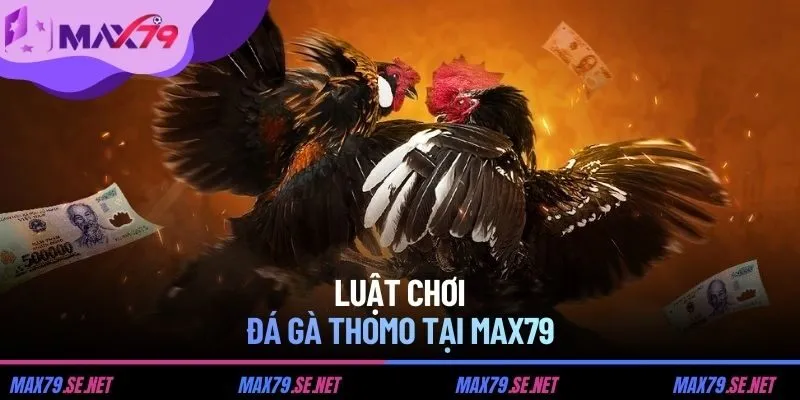 Luật chơi đá gà Thomo tại MAX79