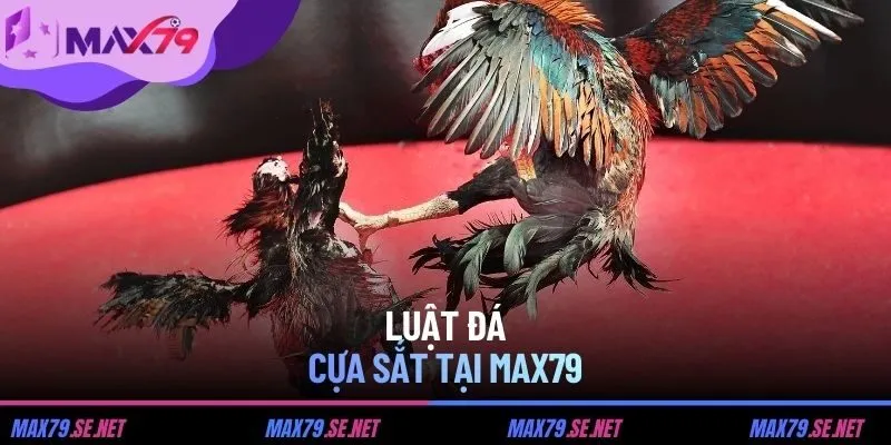 Luật đá cựa sắt tại max79