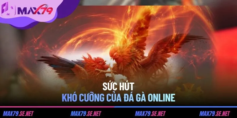 Sức hút khó cưỡng của đá gà online