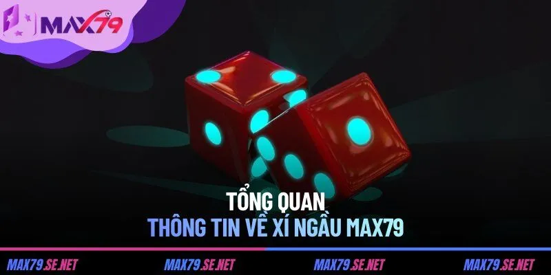 Tổng quan thông tin về xí ngầu MAX79